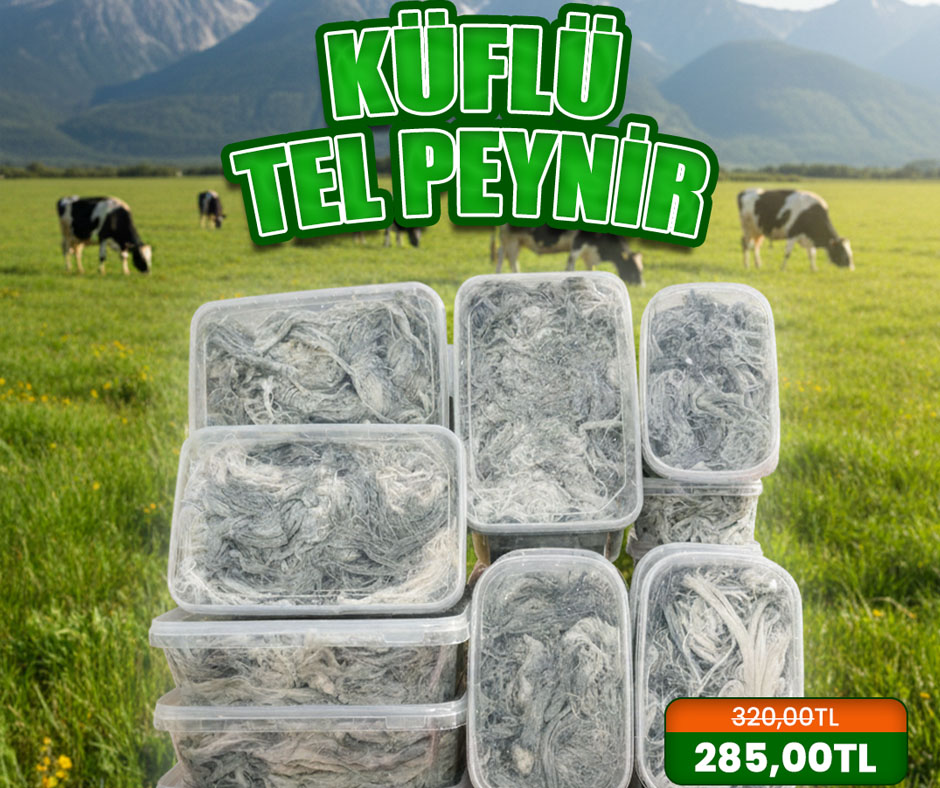 Bayburt Küflü Peynir 10KG Kampanyası