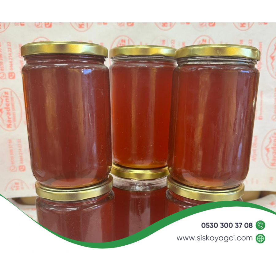 Borçka Kestane Balı 1 KG